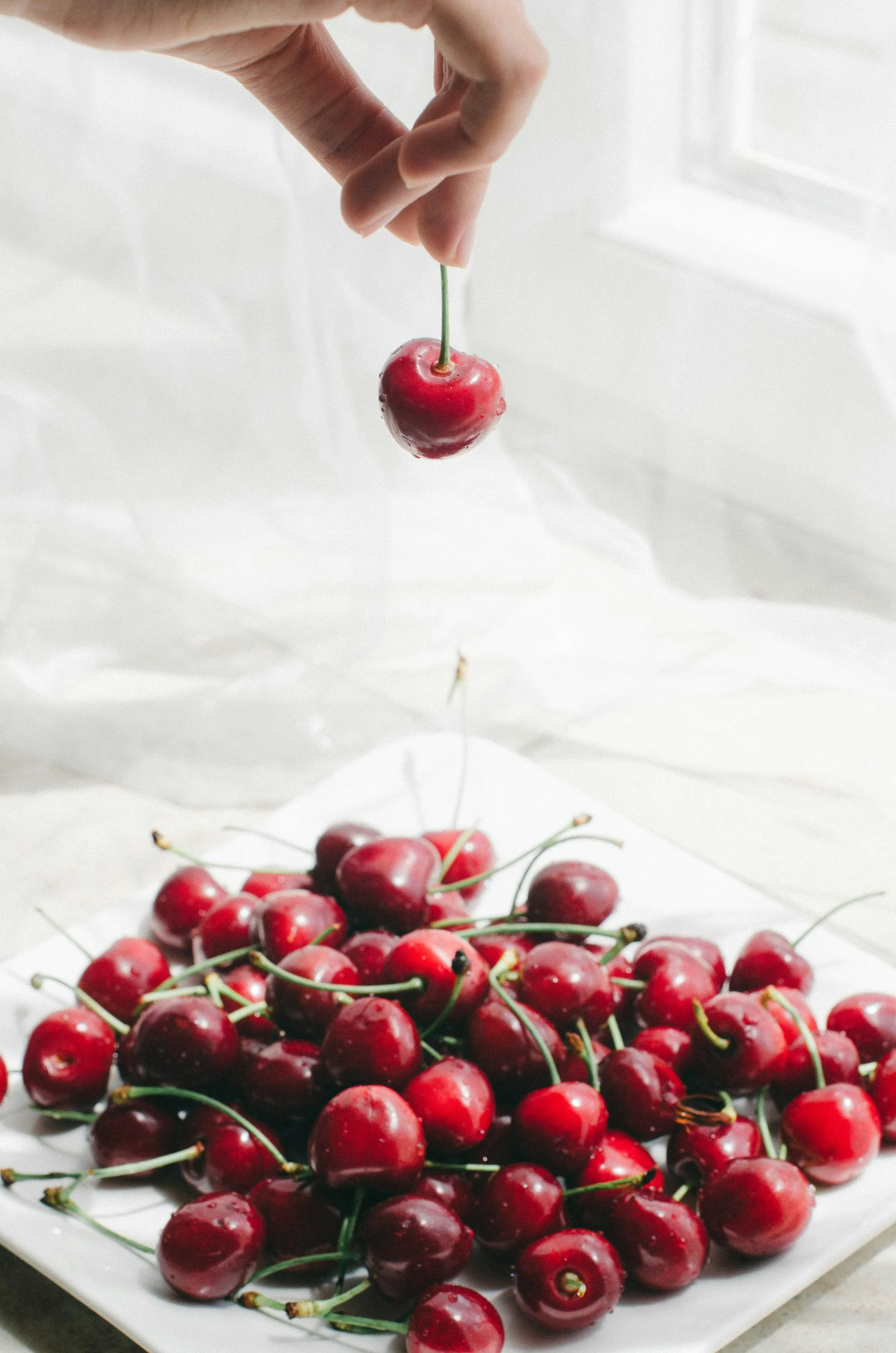 A hand letting a single cherry fall onto a pile of fresh cherries